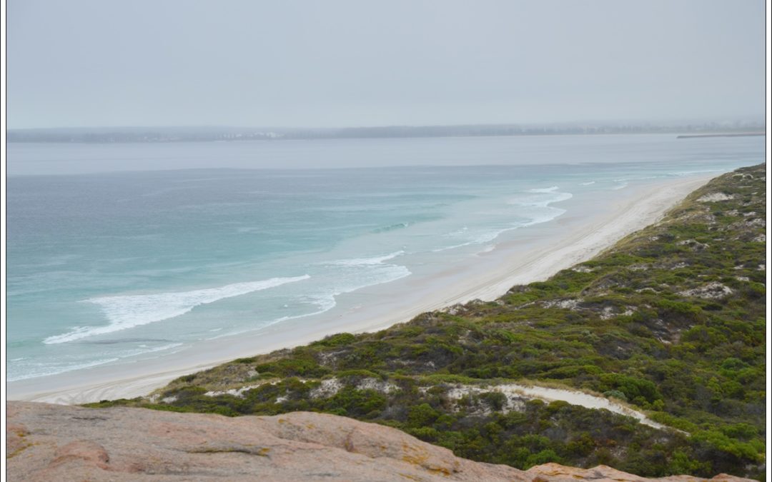 AUTOUR DE ESPERANCE – WILLY BAY