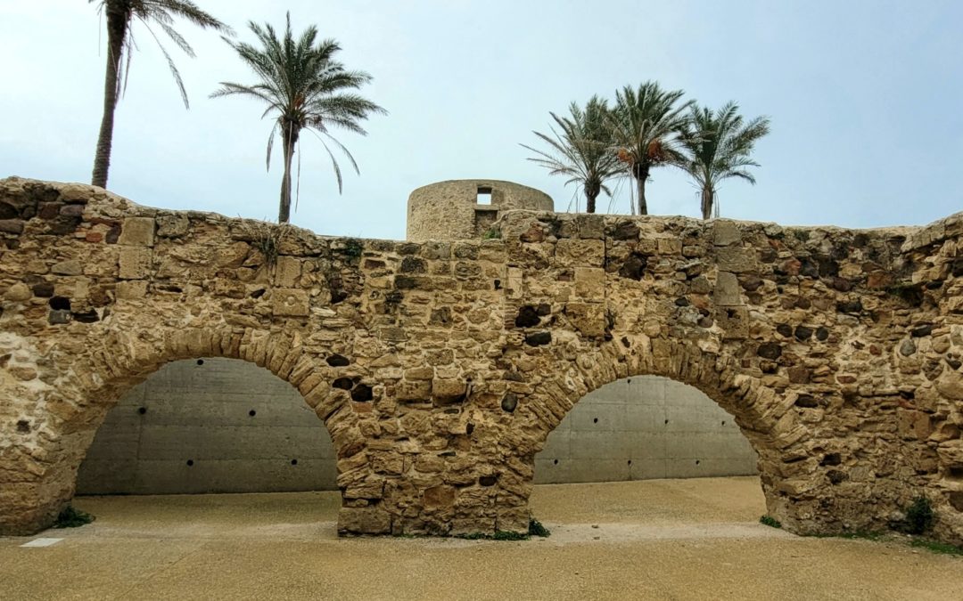 D’Alborea à Alghero – 21 nov 2021