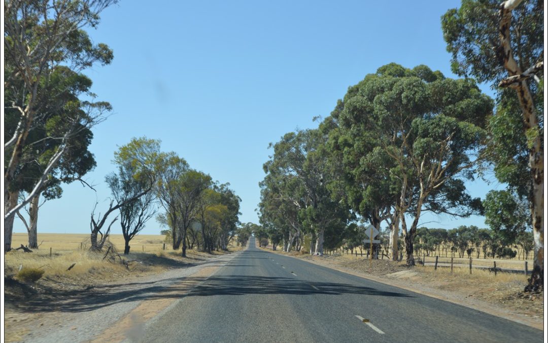 WAVE ROCK