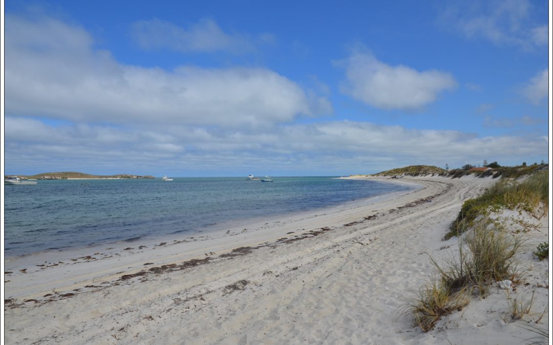 LES DUNES DE LANCELIN ET LA VISITE DU YANCHEP PARK