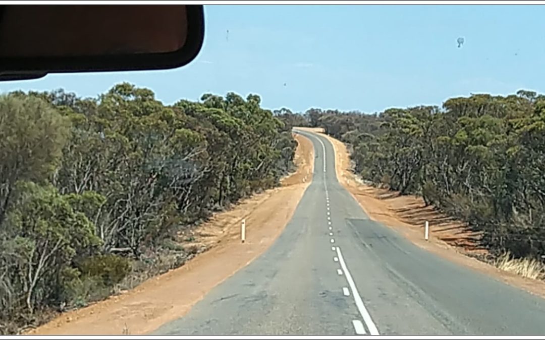 ENTRE ESPERANCE ET ALBANY